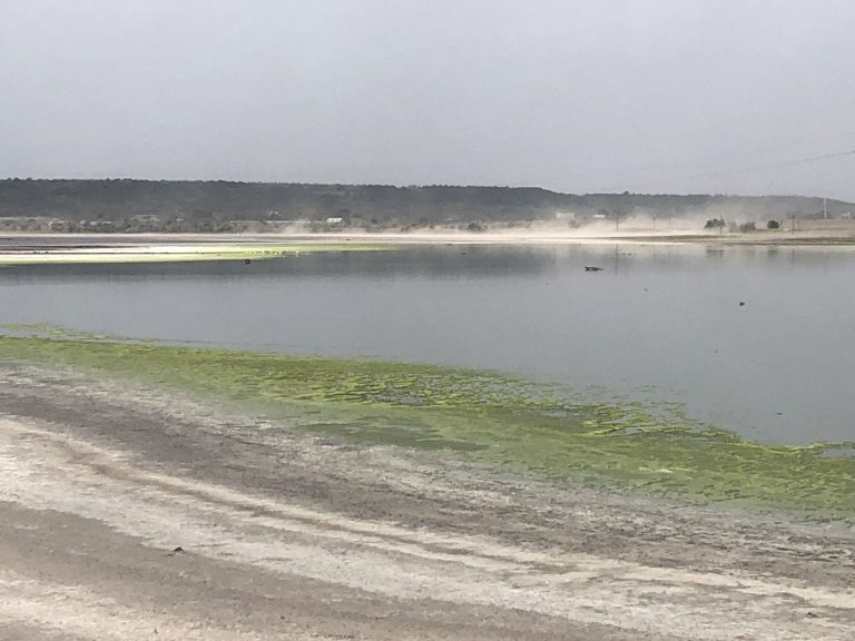 Хаджибейський лиман: степове море під боком Одеси